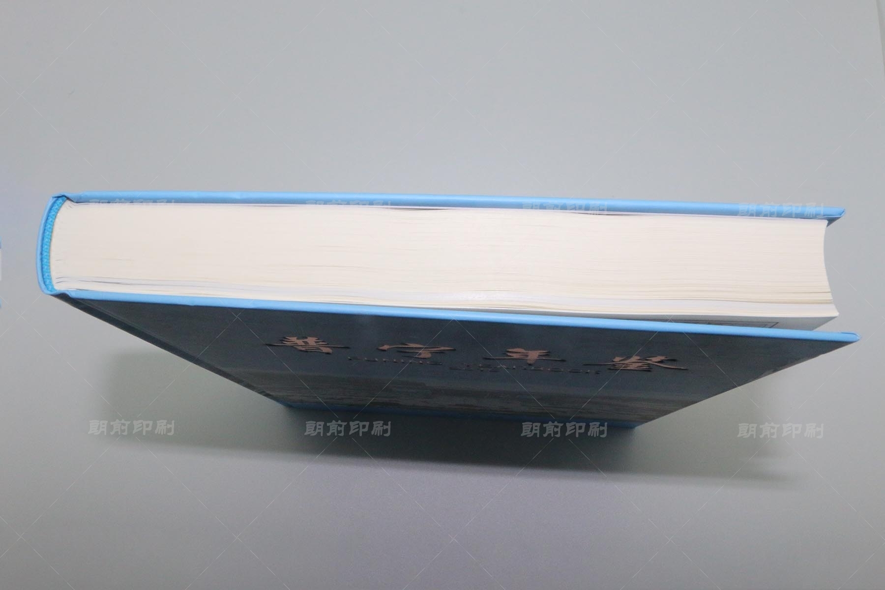 廣州印刷畫(huà)冊(cè)多少錢(qián)一頁(yè) 廣州制作畫(huà)冊(cè)制作公司