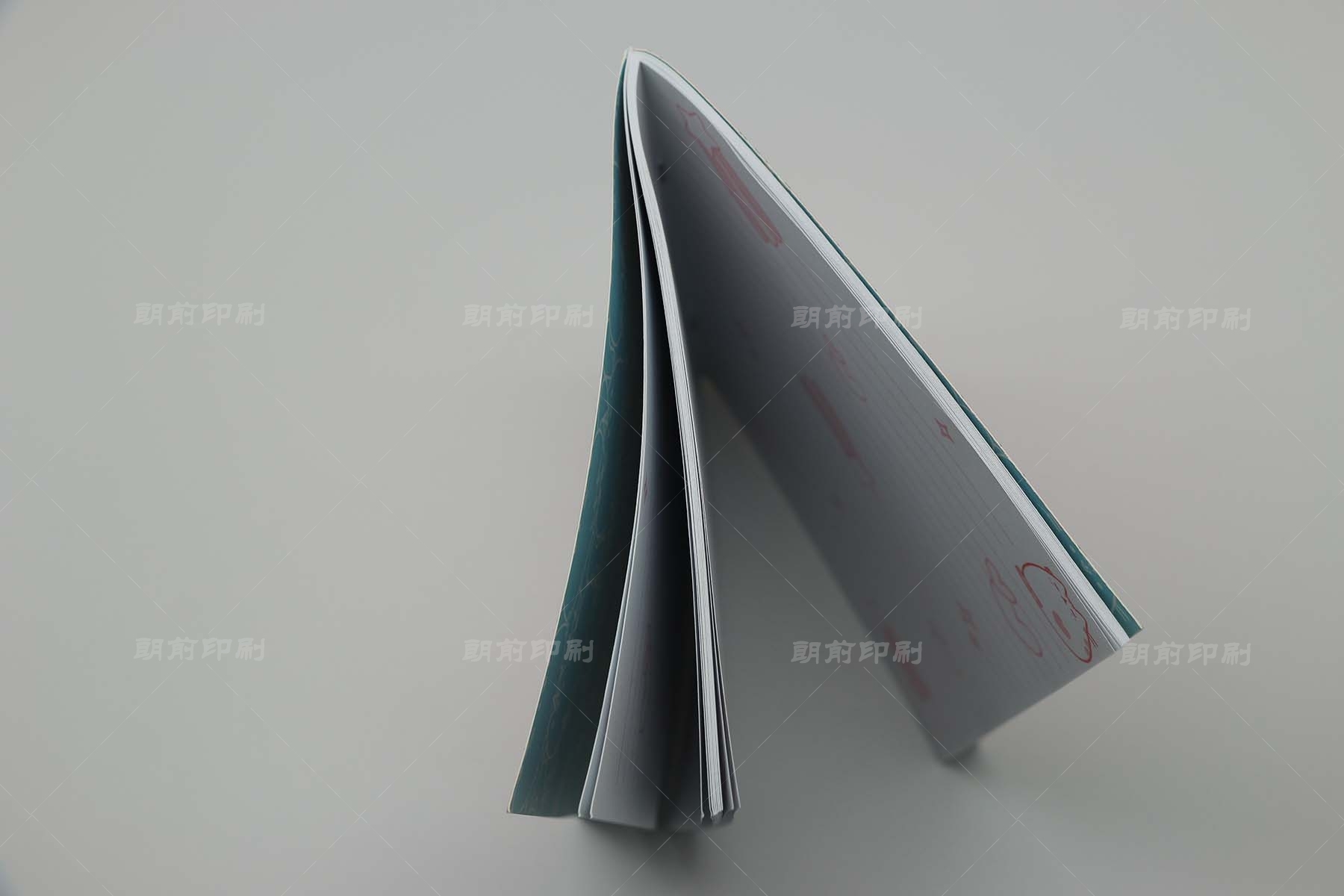 廣州櫥柜門畫冊設(shè)計(jì)印刷 廣州產(chǎn)品攝影印刷畫冊