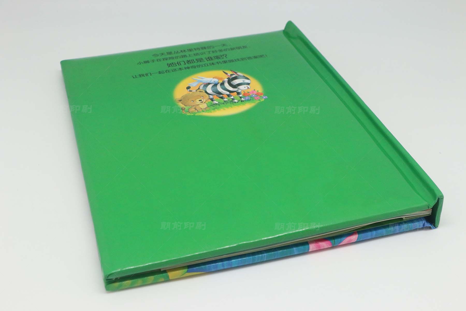 廣州提供畫(huà)冊(cè)設(shè)計(jì)制作 廣州印刷企業(yè)畫(huà)冊(cè)
