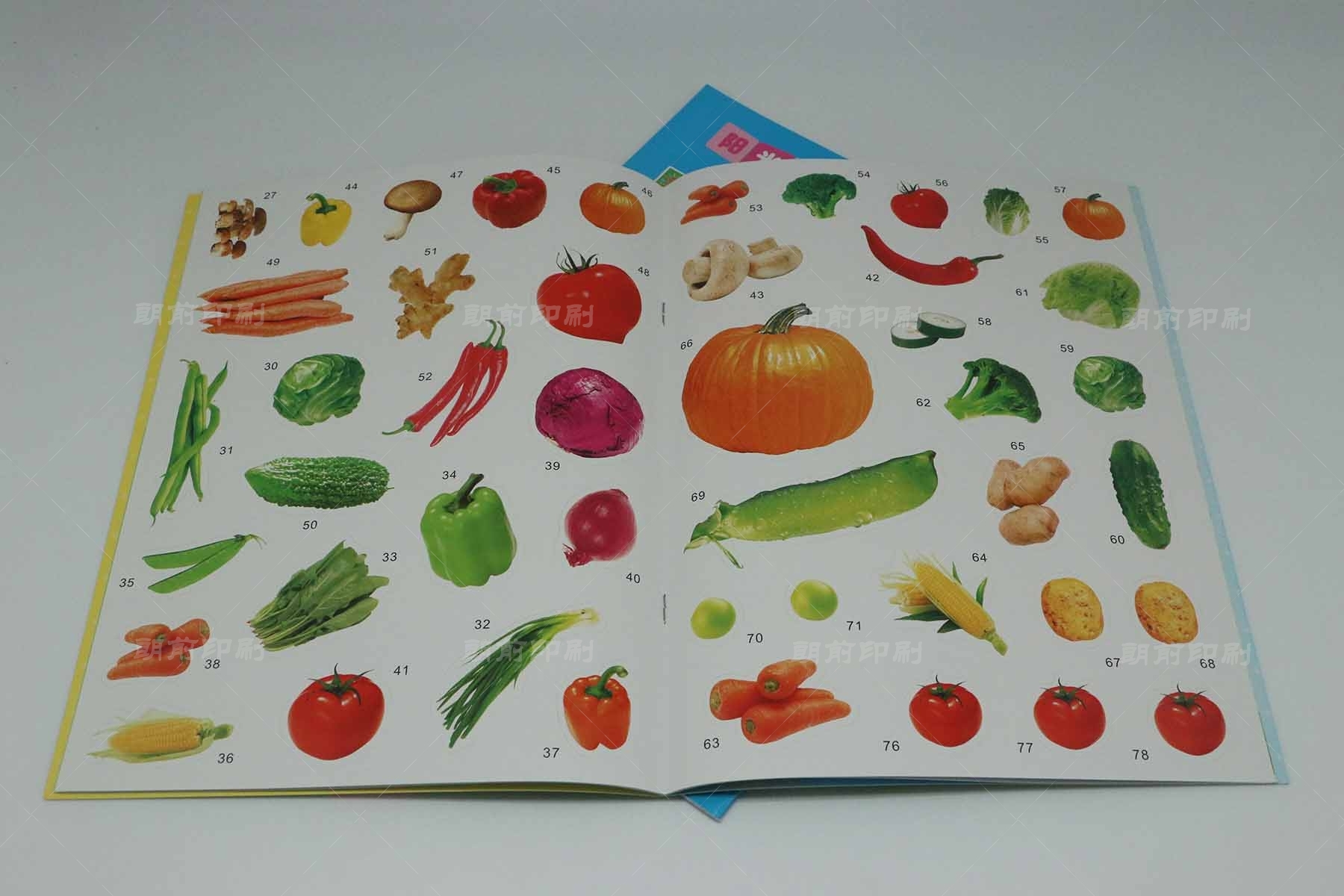 廣州印刷宣傳畫冊多少錢 廣州水暖產(chǎn)品畫冊印刷