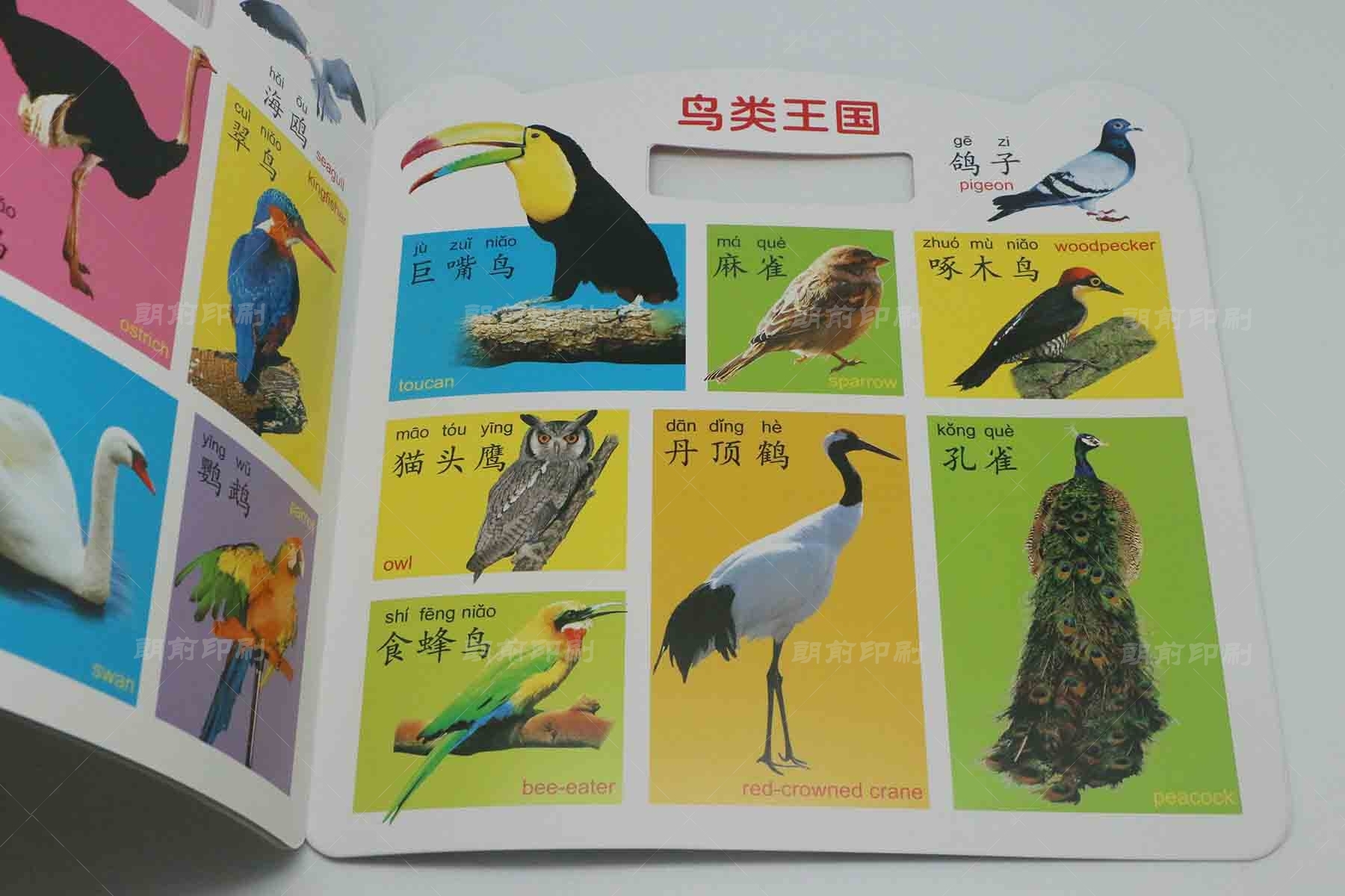 廣州自動化畫冊設(shè)計印刷 廣州產(chǎn)品畫冊的印刷材質(zhì)