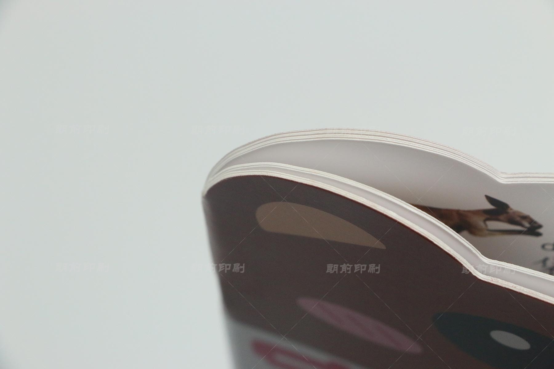 廣州印刷報(bào)價(jià) 廣州廠家印刷畫冊(cè)樣本