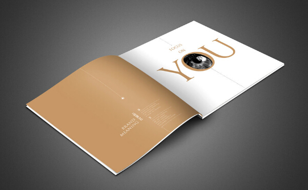 廣州企業(yè)畫冊印刷價 廣州包裝畫冊設計制作