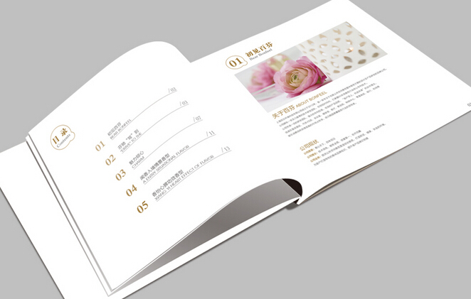 廣州衛(wèi)浴畫(huà)冊(cè)設(shè)計(jì)印刷 廣州固原畫(huà)冊(cè)設(shè)計(jì)制作公司