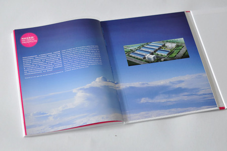 免費(fèi)提供廣州畫冊報(bào)價(jià)、畫冊印刷價(jià)格-長城印刷